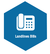 Landline Bills